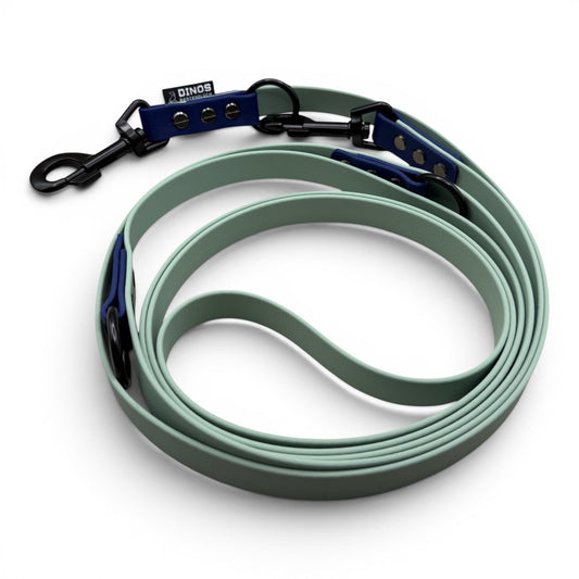 Führleine 19mm | dreifach verstellbar | aus BioThane® - Dinos Pfotenglück