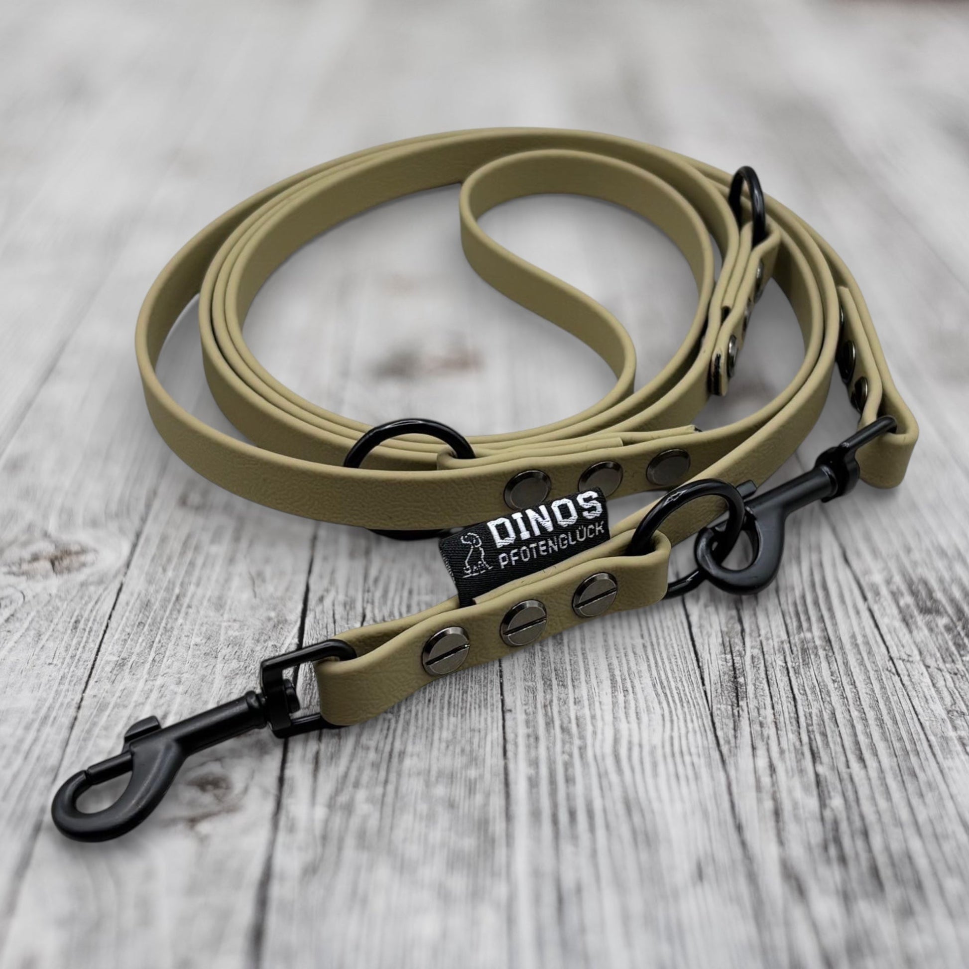Führleine 16mm | dreifach verstellbar | aus BioThane® - Dinos Pfotenglück