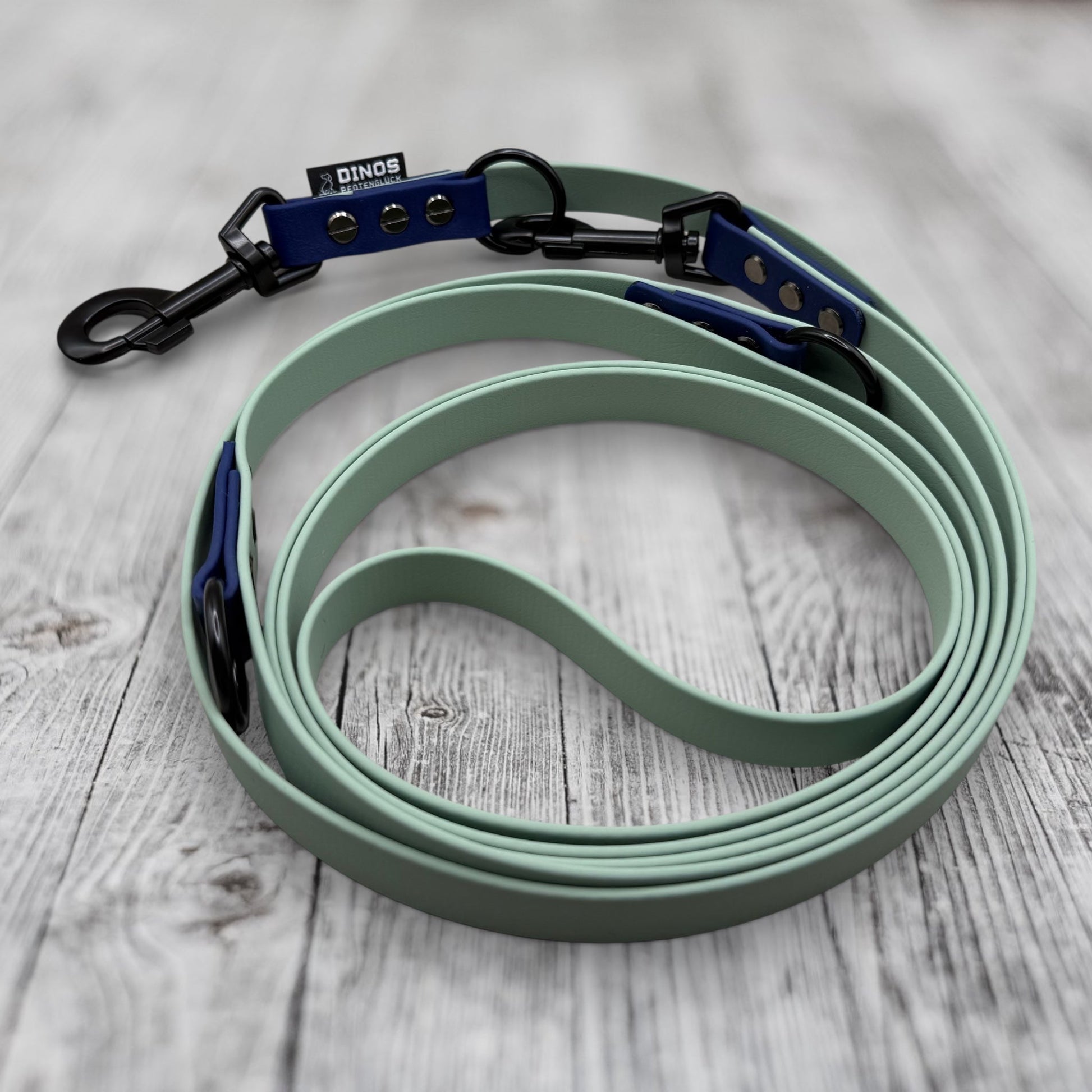 Führleine 19mm | dreifach verstellbar | aus BioThane® - Dinos Pfotenglück
