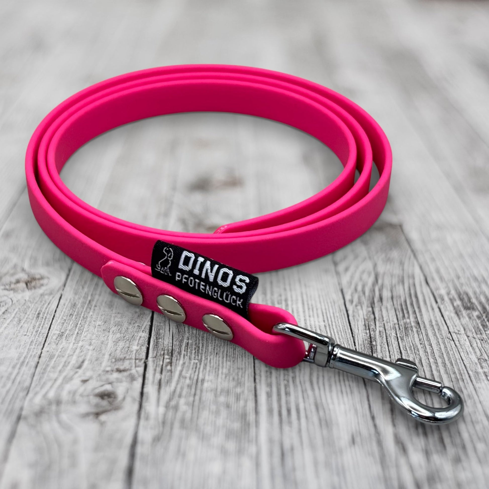 Hausleine 13mm | 1m | aus BioThane® - Dinos Pfotenglück