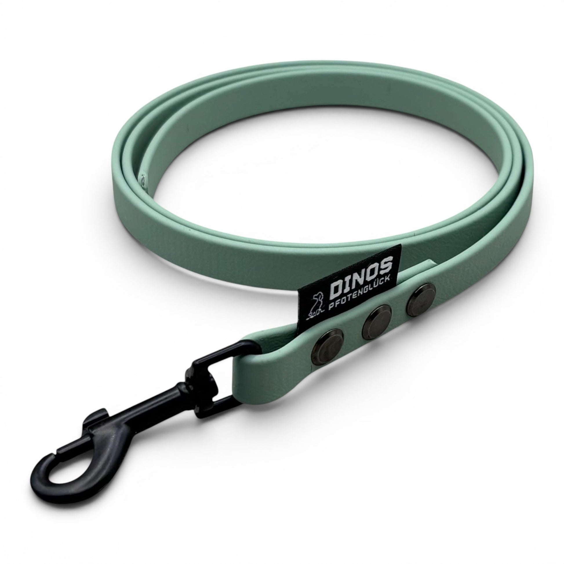 Hausleine 16mm | 1m | aus BioThane® (Kopie) - Dinos Pfotenglück