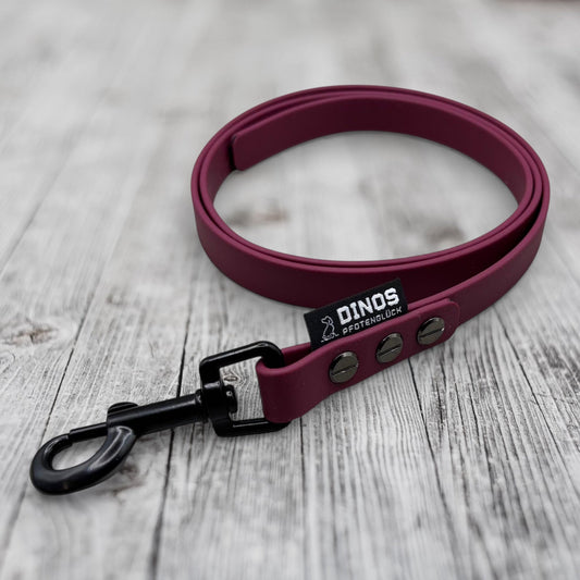 Hausleine 19mm | 1m | aus BioThane® - Dinos Pfotenglück