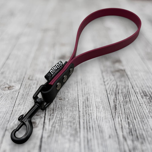 Kurzführer 16mm | aus BioThane® - Dinos Pfotenglück