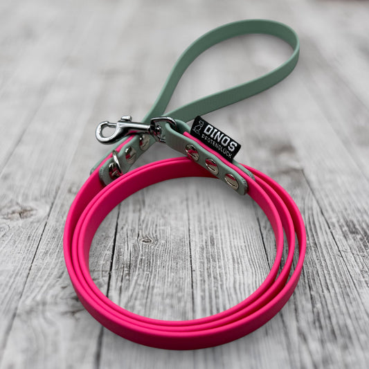 Kurzleine 13mm | aus BioThane® - Dinos Pfotenglück