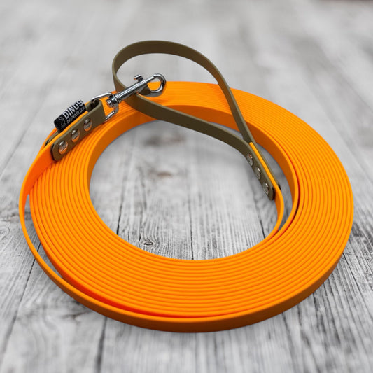Schleppleine 13mm | aus BioThane® - Dinos Pfotenglück