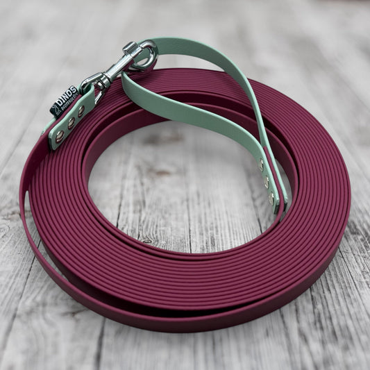 Schleppleine 19mm | aus BioThane® - Dinos Pfotenglück